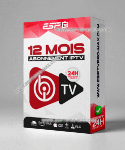 Abonnement ibo player pro 12 mois